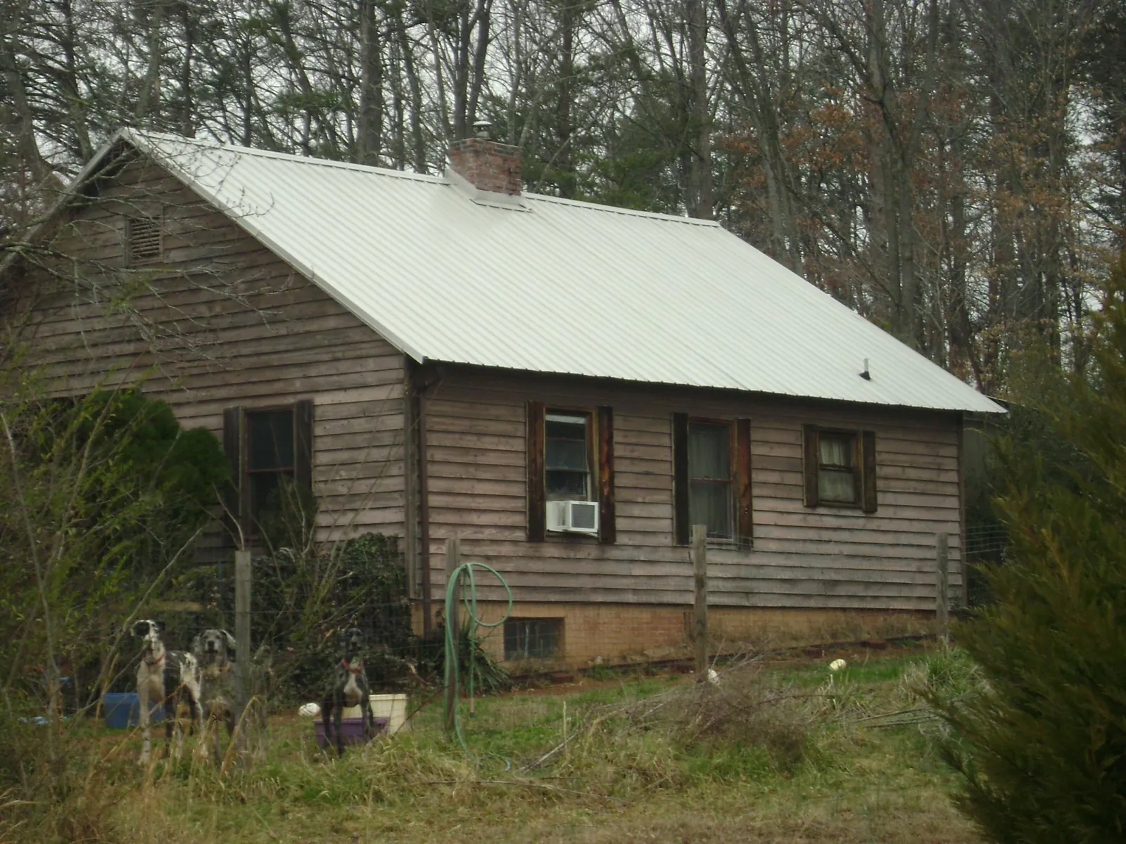 White metal roof on an old wood sided farmhouse, from a Asphalt Shingle Roof Repair job in Visalia